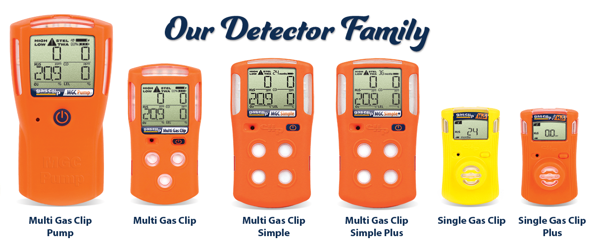 Our Detector Family